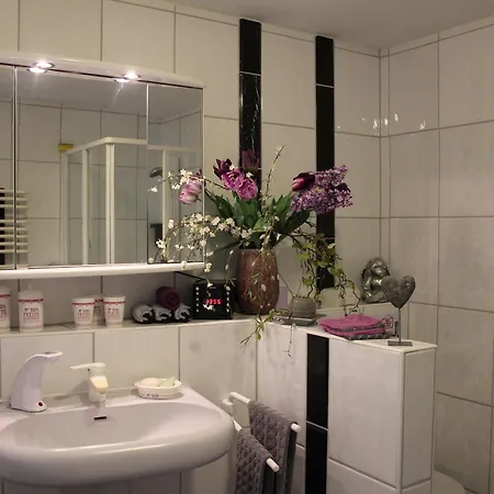 Black Forest Apartmán Adelhausen