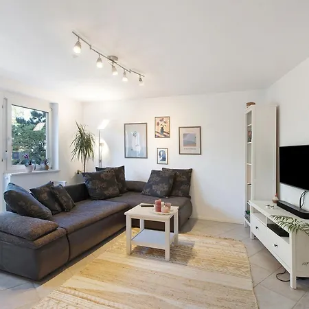 Black Forest Apartment Adelhausen